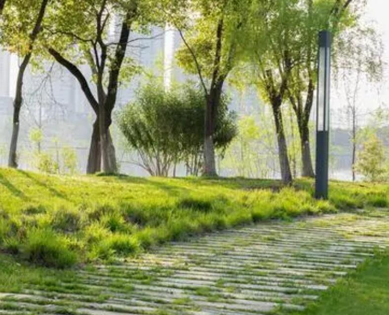 四川成都春天休闲踏青攻略推荐